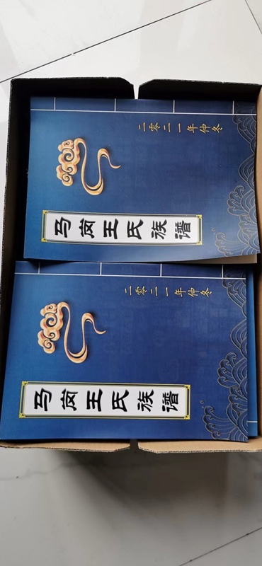 民权马岗王氏族谱